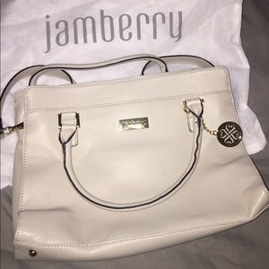 Jamberry Padded Media Case/Purse